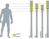 Narty dla 170 cm: Koniec z mitami! Znajdź idealną długość